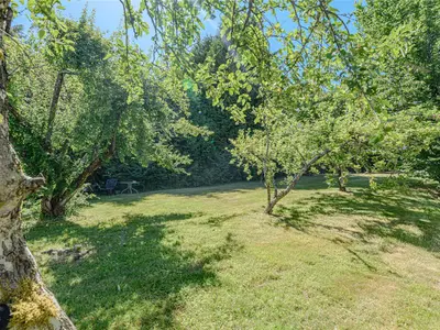 View 30