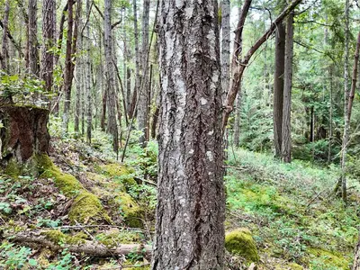 View 23