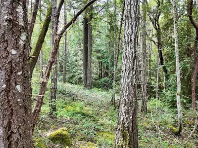 View 13