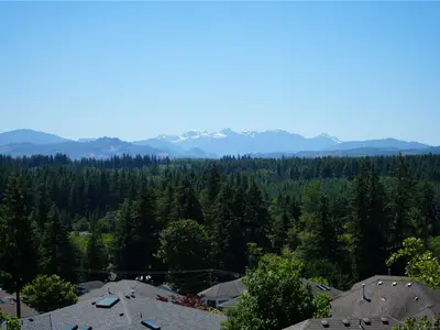 View 3