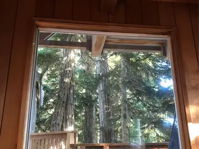 View 8