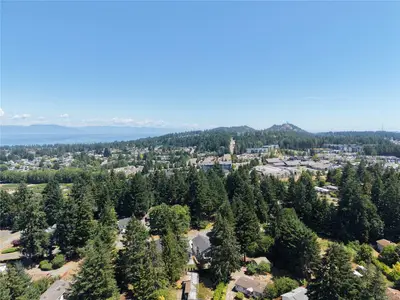 View 44