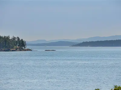 View 65