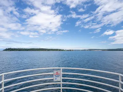 View 50
