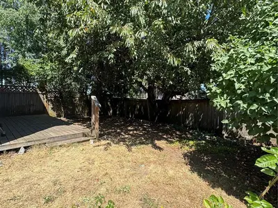 View 45