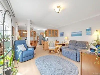 View 29