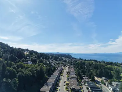 View 81