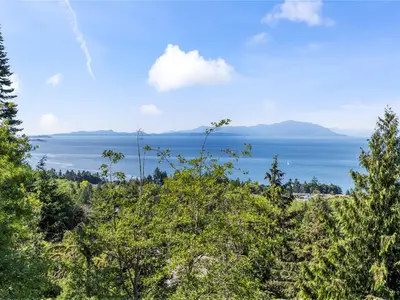 View 50