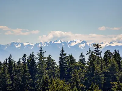 View 6