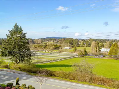 View 59