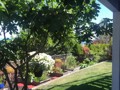 View 75