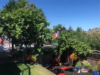 View 18