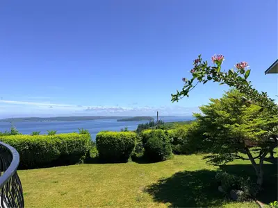 View 37