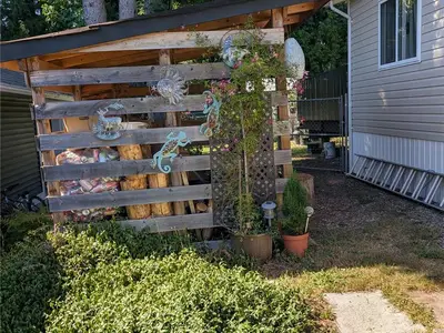 View 29