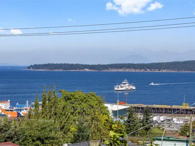 View 49