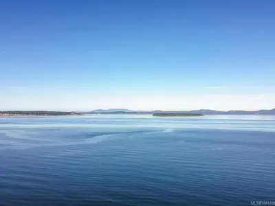 View 71
