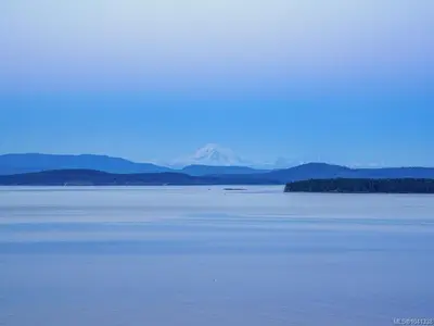 View 69