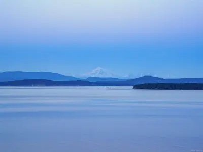 View 51