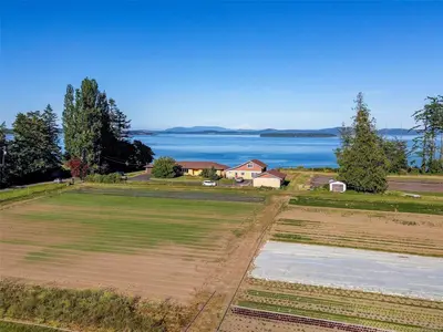 View 54