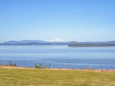 View 64