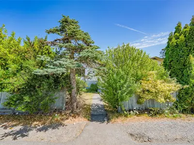 View 25