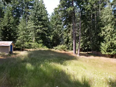 View 5