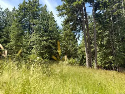 View 10