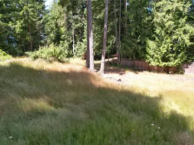 View 4