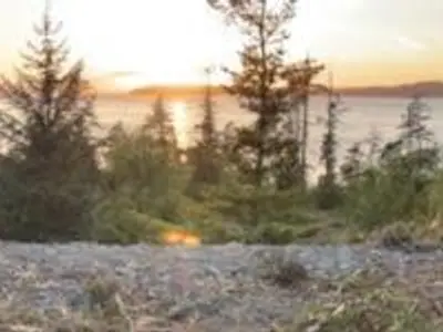 View 42