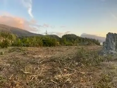 View 43