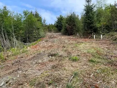 View 22