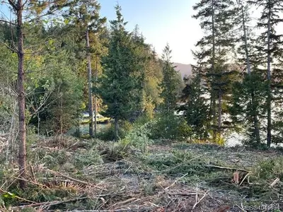View 32