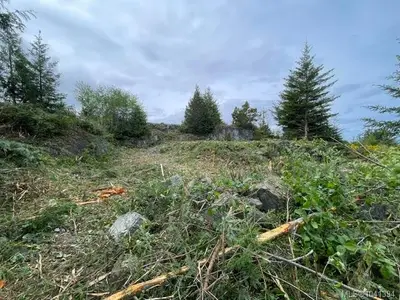 View 28