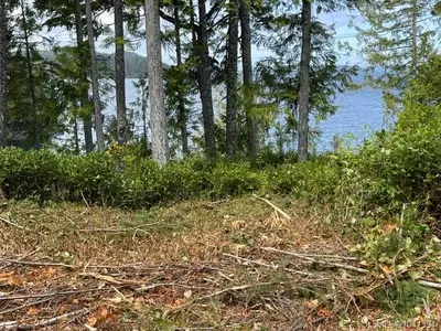 View 24