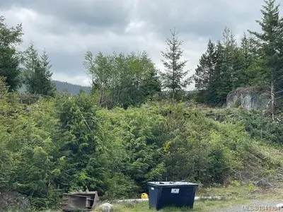 View 38