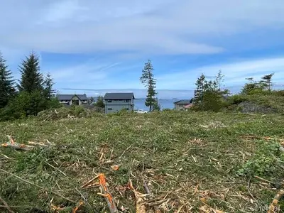 View 37