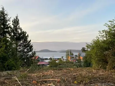 View 19