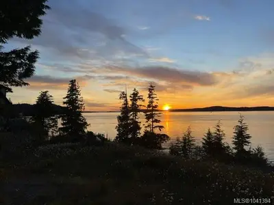 View 40
