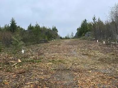 View 35