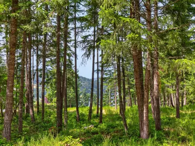 View 9