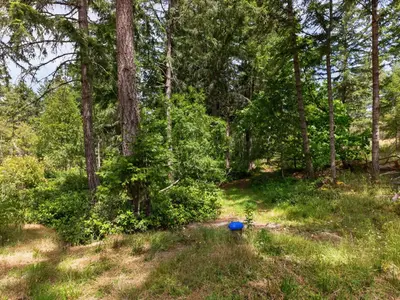 View 14