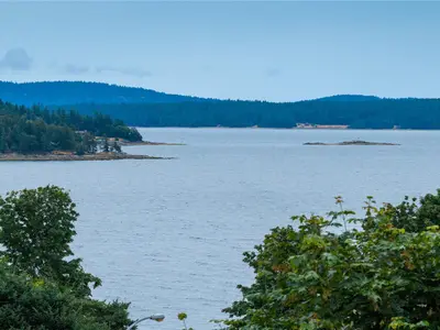 View 19