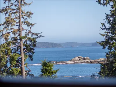 View 5