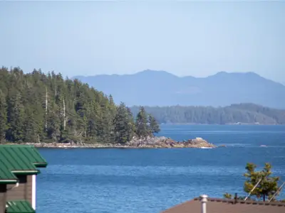 View 20
