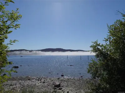 View 31