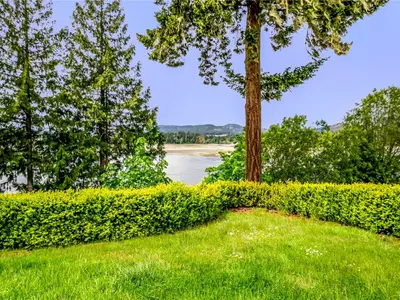 View 40