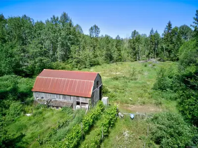 View 50