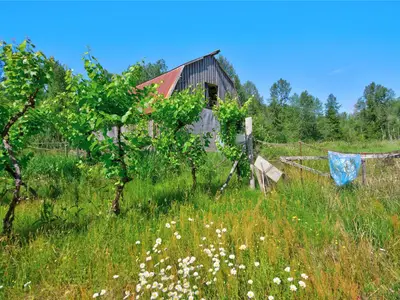 View 21