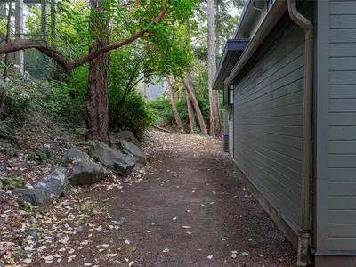 View 50