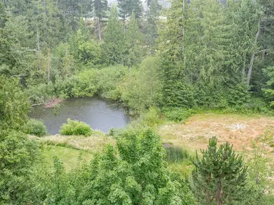 View 34